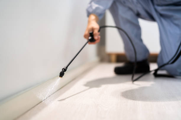 Bed Bug Pre-Treatment Preparation Assessment in Kenilworth
